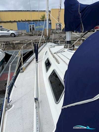 Contessa 35 Segelboot 1978, mit Yanmar 3GM30F motor, Dänemark