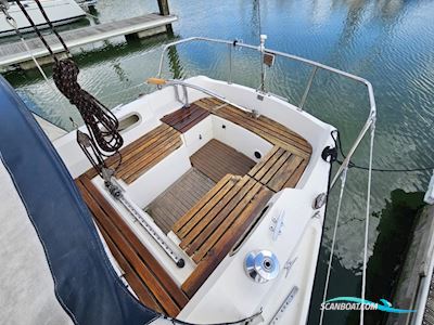 Contest  30 Segelboot 1977, Niederlande