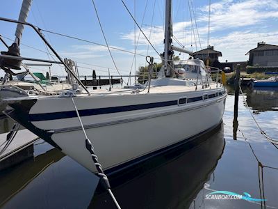 Contest  41 Segelboot 1988, mit Volvo Penta motor, Niederlande