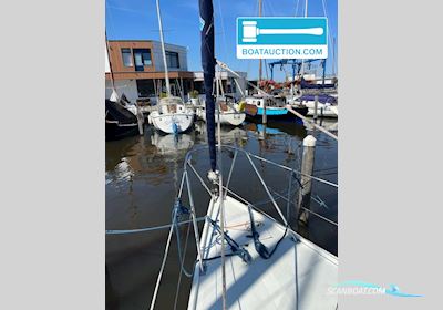 Contest 25 Segelboot 1985, mit Sole motor, Niederlande
