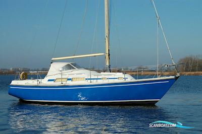 Contest 29 Segelboot 1972, mit Sole motor, Niederlande