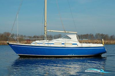 Contest 29 Segelboot 1972, mit Sole motor, Niederlande