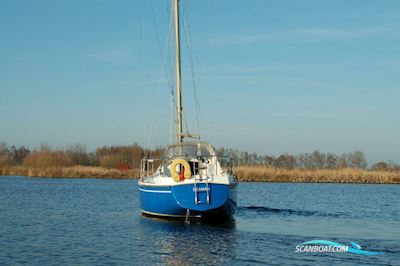 Contest 29 Segelboot 1972, mit Sole motor, Niederlande