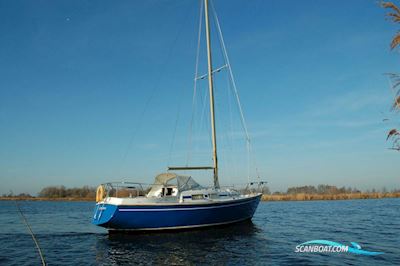 Contest 29 Segelboot 1972, mit Sole motor, Niederlande