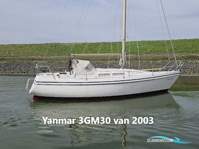 Contest 30 Segelboot 1977, Niederlande