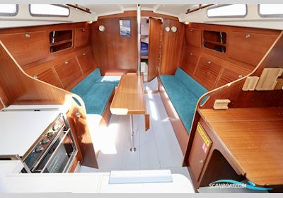 Contest 31 HT AC Segelboot 1977, Niederlande