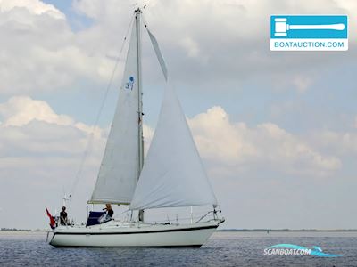 Contest 31 HT AC Segelboot 1978, mit Volvo Penta motor, Niederlande