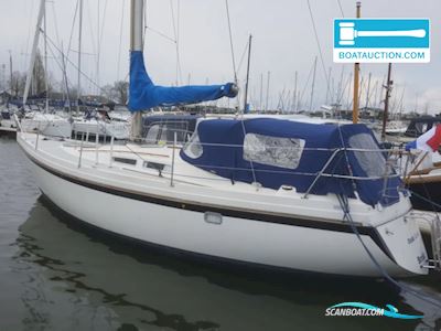 Contest 31 HT AC Segelboot 1978, mit Volvo Penta motor, Niederlande