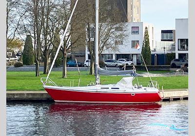 Contest 31 HT-AC Segelboot 1975, Niederlande