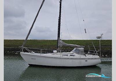 Contest 31 Ht Ac Segelboot 1978, Niederlande