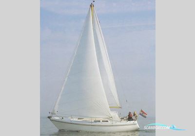 Contest 31 Ht Ac Segelboot 1978, Niederlande