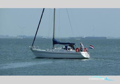 Contest 31 Segelboot 1974, Niederlande