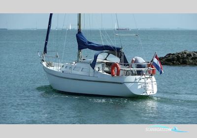 Contest 31 Segelboot 1974, Niederlande