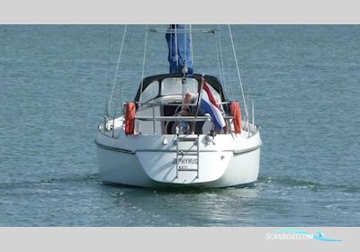Contest 31 Segelboot 1974, Niederlande