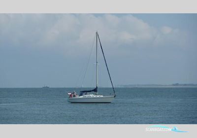 Contest 31 Segelboot 1974, Niederlande