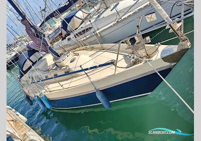 Contest 31 Segelboot 1973, mit Volvo Penta motor, Spanien