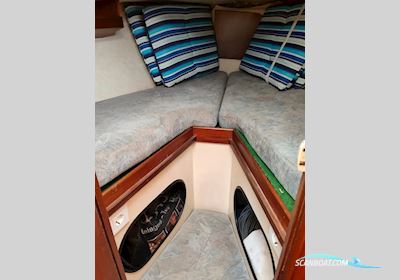 Contest 31 Segelboot 1973, mit Volvo Penta motor, Spanien