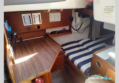 Contest 31 Segelboot 1973, mit Volvo Penta motor, Spanien