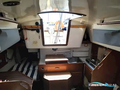 Contest 31 Segelboot 1973, mit Volvo Penta motor, Spanien