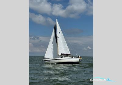 Contest 32 CS Segelboot 1979, mit Volvo Penta motor, Niederlande