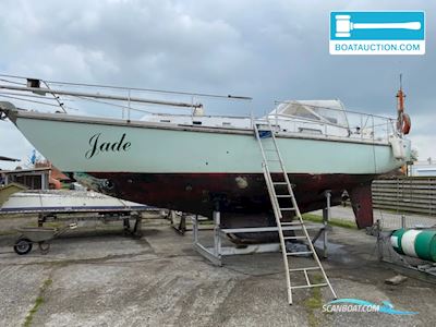 Contest 33 Segelboot 1972, mit Lombardini motor, Niederlande