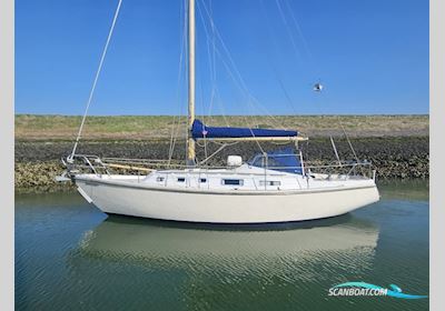 Contest 33 Segelboot 1971, Niederlande