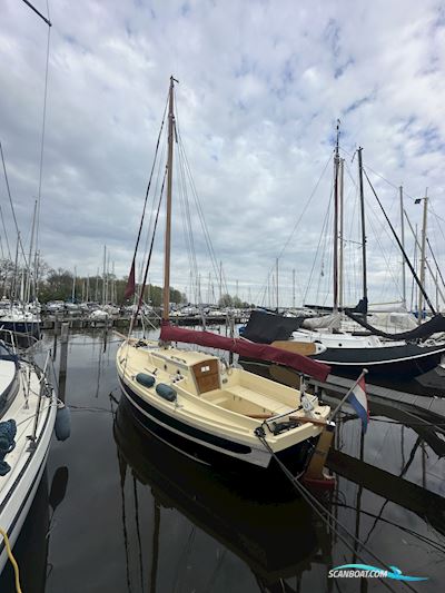 Cornish Crabber 22 Segelboot 2003, mit Yanmar motor, Niederlande
