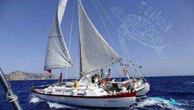 Custom Built James Wharram PAHI 42 Segelboot 1990, mit Yanmar motor, Spanien