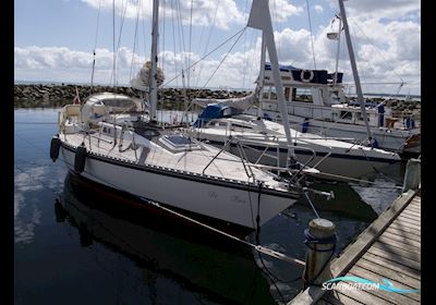D.P. Doug Peterson 31 Segelboot 1977, mit Yanmar 3YM30 F/W K. motor, Dänemark