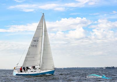 De Ridder 30 one off Segelboot 1997, mit Mitsubishi L2E (like Vetus M1.13) motor, Deutschland