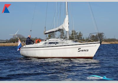 Dehler 31 Top Segelboot 1993, Niederlande
