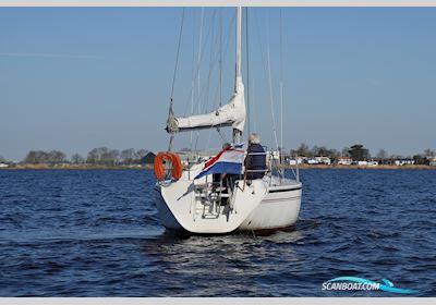 Dehler 31 Top Segelboot 1993, Niederlande