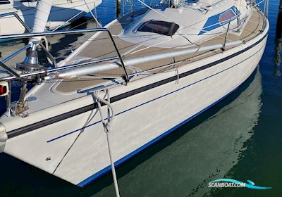 Dehler 31 Segelboot 1985, mit Yanmar motor, Dänemark