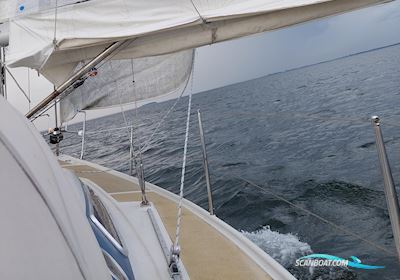 Dehler 31 Segelboot 1985, mit Yanmar motor, Dänemark
