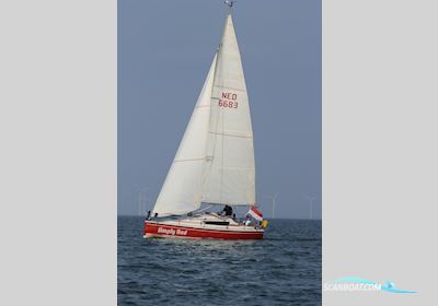 Dehler 33 Competition Segelboot 1996, mit Yanmar  motor, Niederlande
