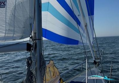 Dehler 34 Segelboot 1987, mit Yanmar 2GM20 motor, Niederlande