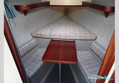 Dehler 35 Cws Segelboot 1994, mit Yanmar 3GM30F motor, Niederlande