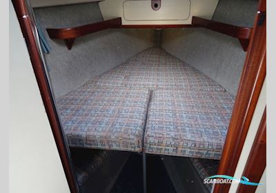 Dehler 35 Cws Segelboot 1994, mit Yanmar 3GM30F motor, Niederlande