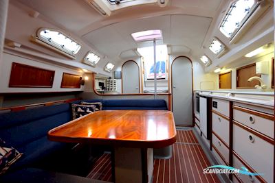 Dehler 36 Cws Top Segelboot 1991, Niederlande