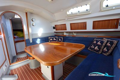 Dehler 36 Cws Top Segelboot 1991, Niederlande
