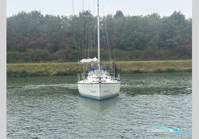 Dehler 36 cws Segelboot 1989, Niederlande