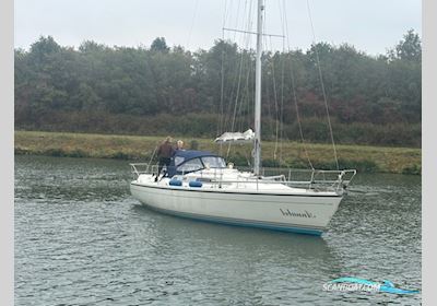Dehler 36 cws Segelboot 1989, Niederlande