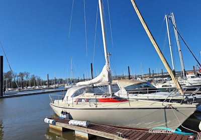 Dehler Optima 101 Segelboot 1985, mit Yanmar 2 GM motor, Deutschland