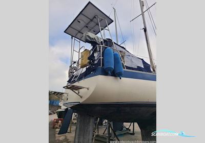 Dolphin 31 Segelboot 1979, mit Beta motor, England