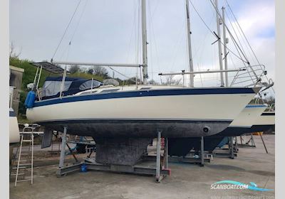 Dolphin 31 Segelboot 1979, mit Beta motor, England
