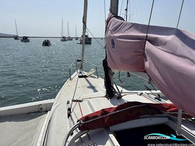 Dragonfly 800 Segelboot 1992, mit tohatsu motor, England