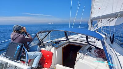 Dufour 38 Classic Segelboot 2004, mit Volvo-Penta motor, Deutschland