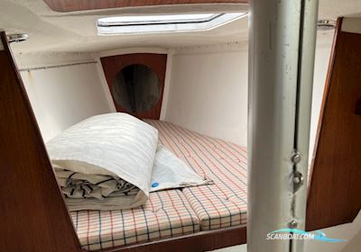 Dynamic 35 Segelboot 1986, mit  Yanmar 1GM Årg 2006 motor, Dänemark