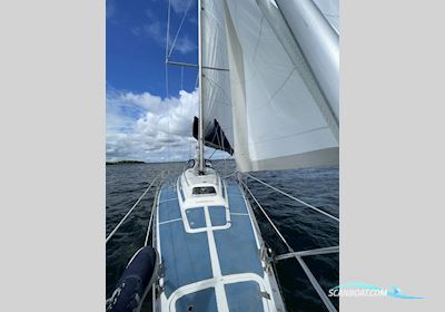 Dynamic 43 Segelboot 1987, mit Volvo Penta  motor, Dänemark