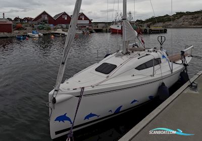 Elan 210 Segelboot 2014, Dänemark